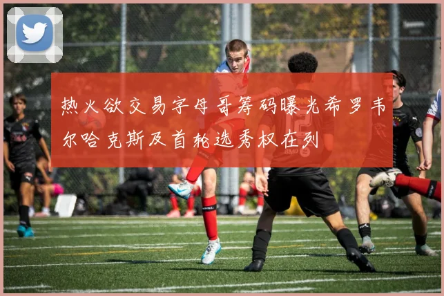 热火欲交易字母哥筹码曝光希罗韦尔哈克斯及首轮选秀权在列