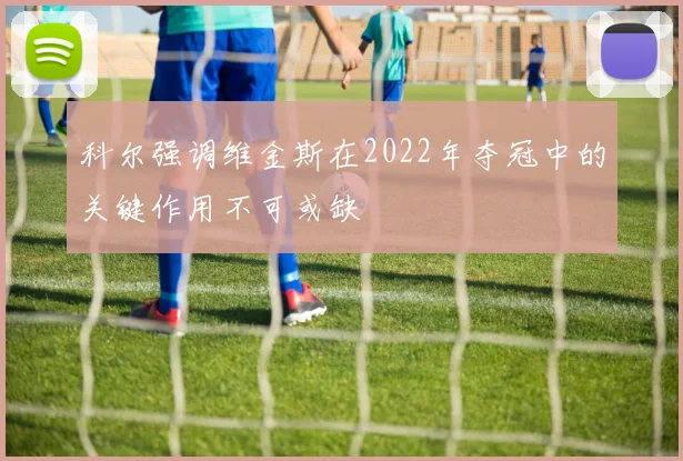 科尔强调维金斯在2022年夺冠中的关键作用不可或缺