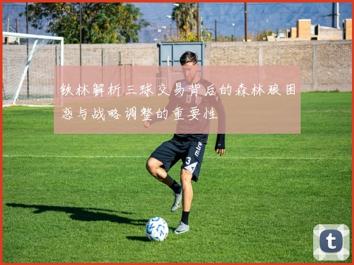 铁林解析三球交易背后的森林狼困惑与战略调整的重要性