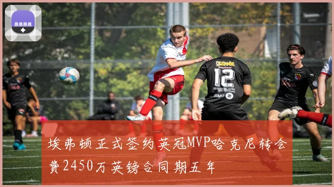 埃弗顿正式签约英冠MVP哈克尼转会费2450万英镑合同期五年